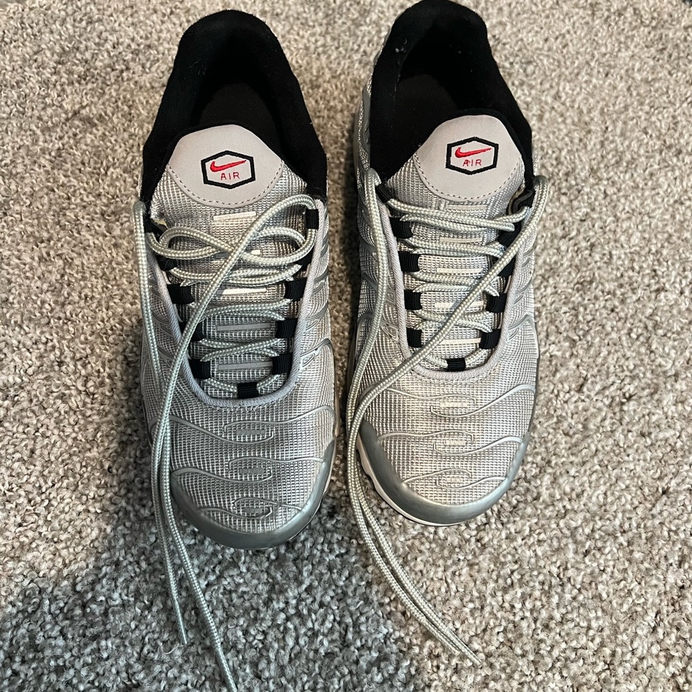 Silver Air Max Plus Tn